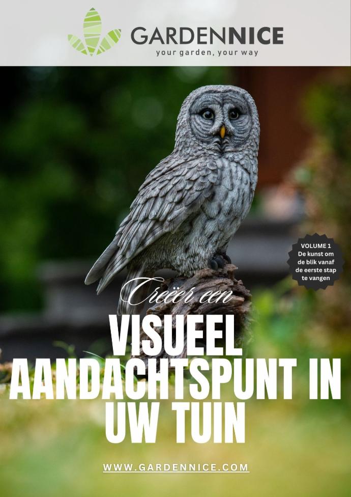 Leer hoe u vanaf de eerste stap de aandacht trekt in uw tuin met sterke visuele elementen. Gratis gids van Garden Nice voor een opvallende buitenruimte.