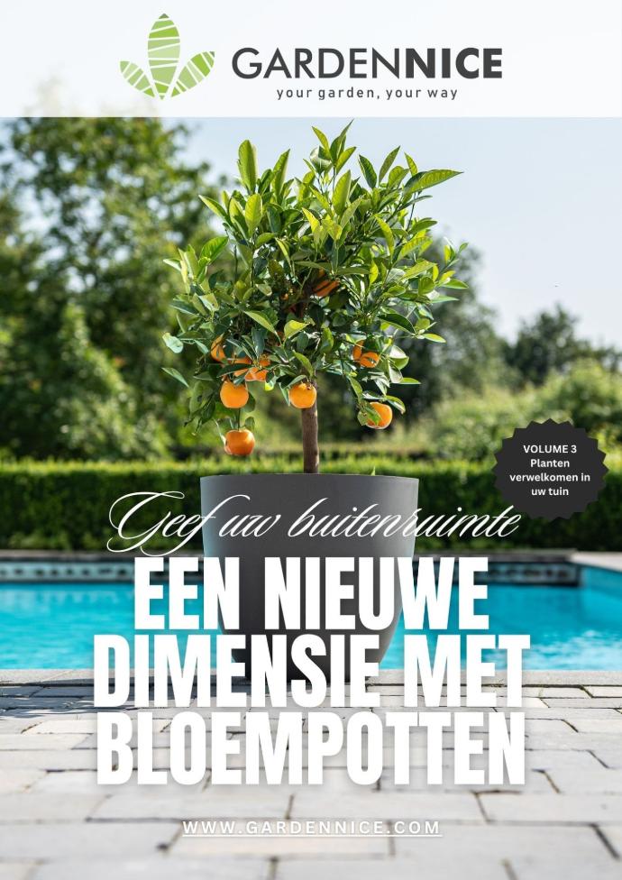 Geef uw tuin een nieuwe indeling met stijlvolle bloempotten. Deze gids helpt u structuur en kleur aan te brengen in uw buitenruimte.