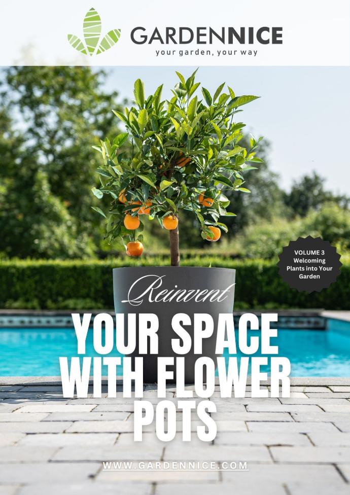 Reimagine your garden with flower pots. This guide helps you organize, color and enhance your space easily with potted plants.