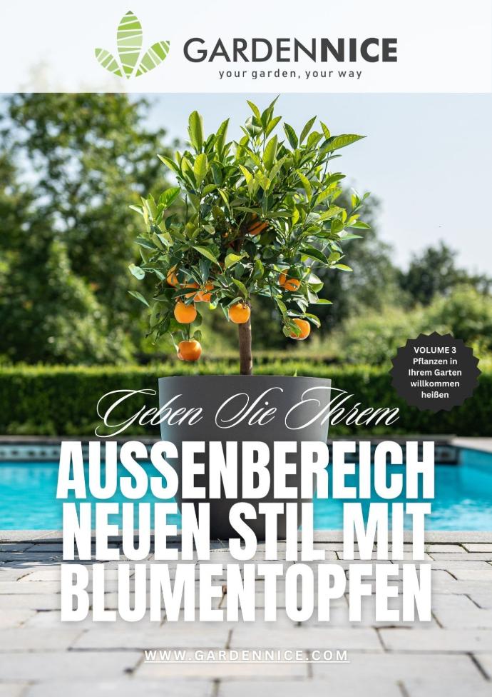 Gestalte deinen Garten neu mit stilvollen Blumentöpfen. Der Guide zeigt dir, wie du Struktur und Farbe einfach kombinierst.