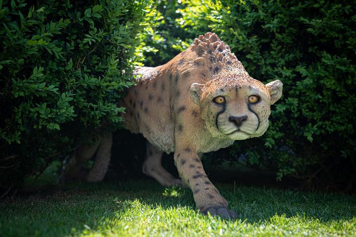 Statue guépard