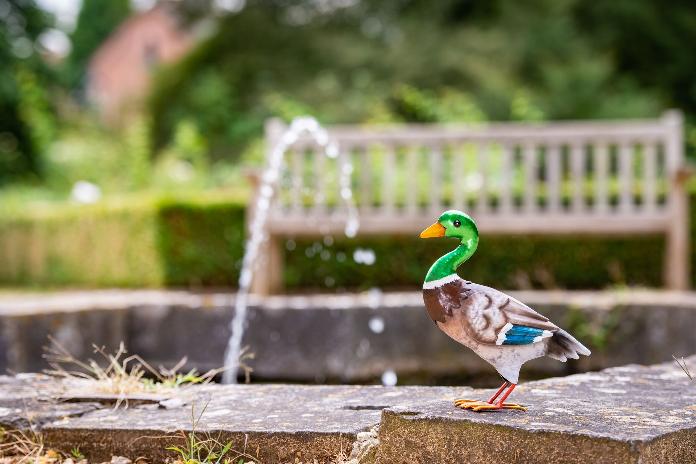 Statue canard colvert en métal