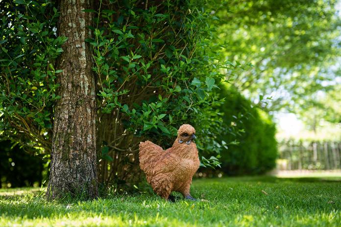 Statue poule réaliste