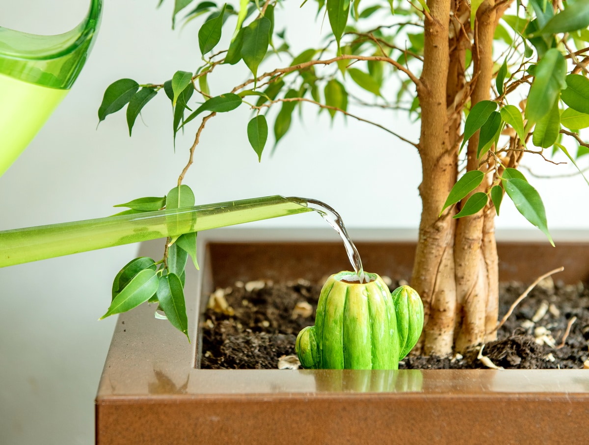 Diffuseur eau en forme de cactus