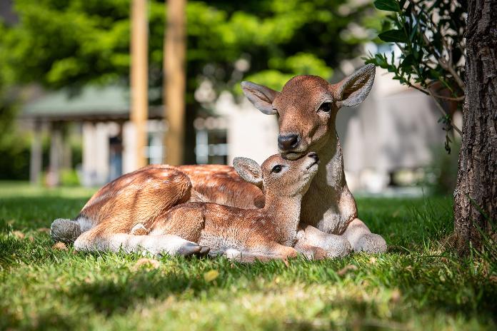 Statue biche et son faon