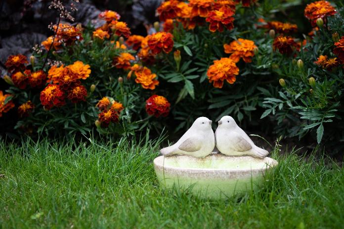 Bain oiseau en céramique