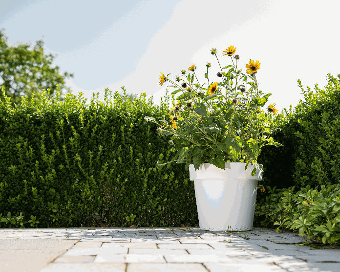 Pot de fleurs Happy blanc