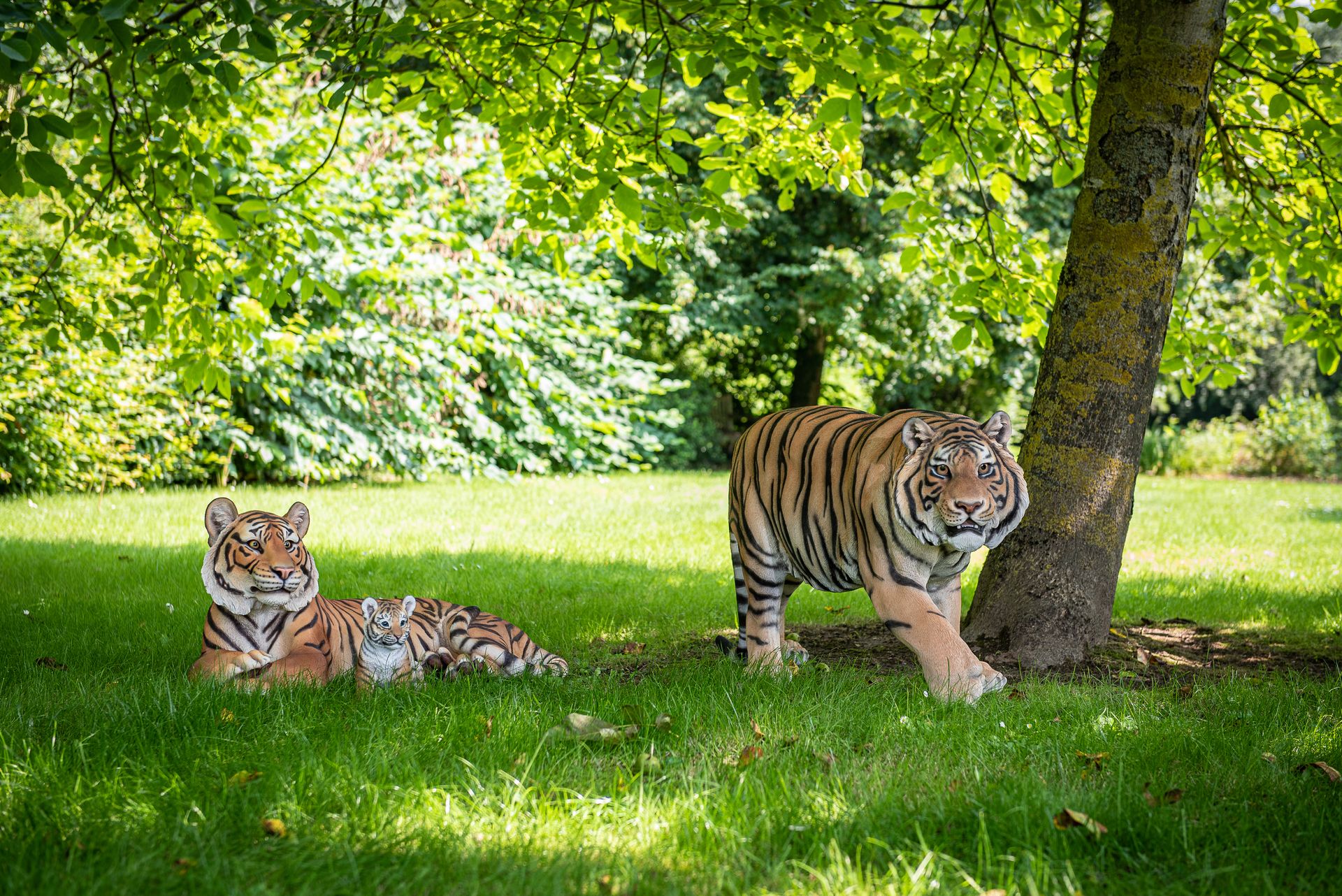 Statues tigres