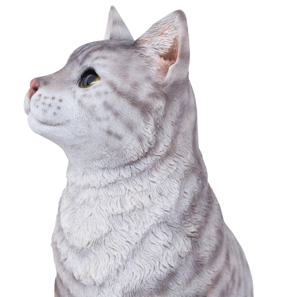 POLYRESINE CHAT ASSIS