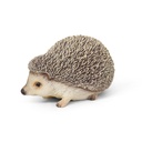 11154179 - hedgehog -4-1 1-1.jpg