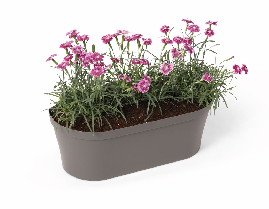 Happy Wall Pot - with plant 1-1.jpg