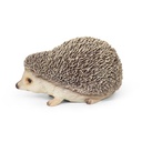 11154179 - hedgehog -1-1 1-1.jpg