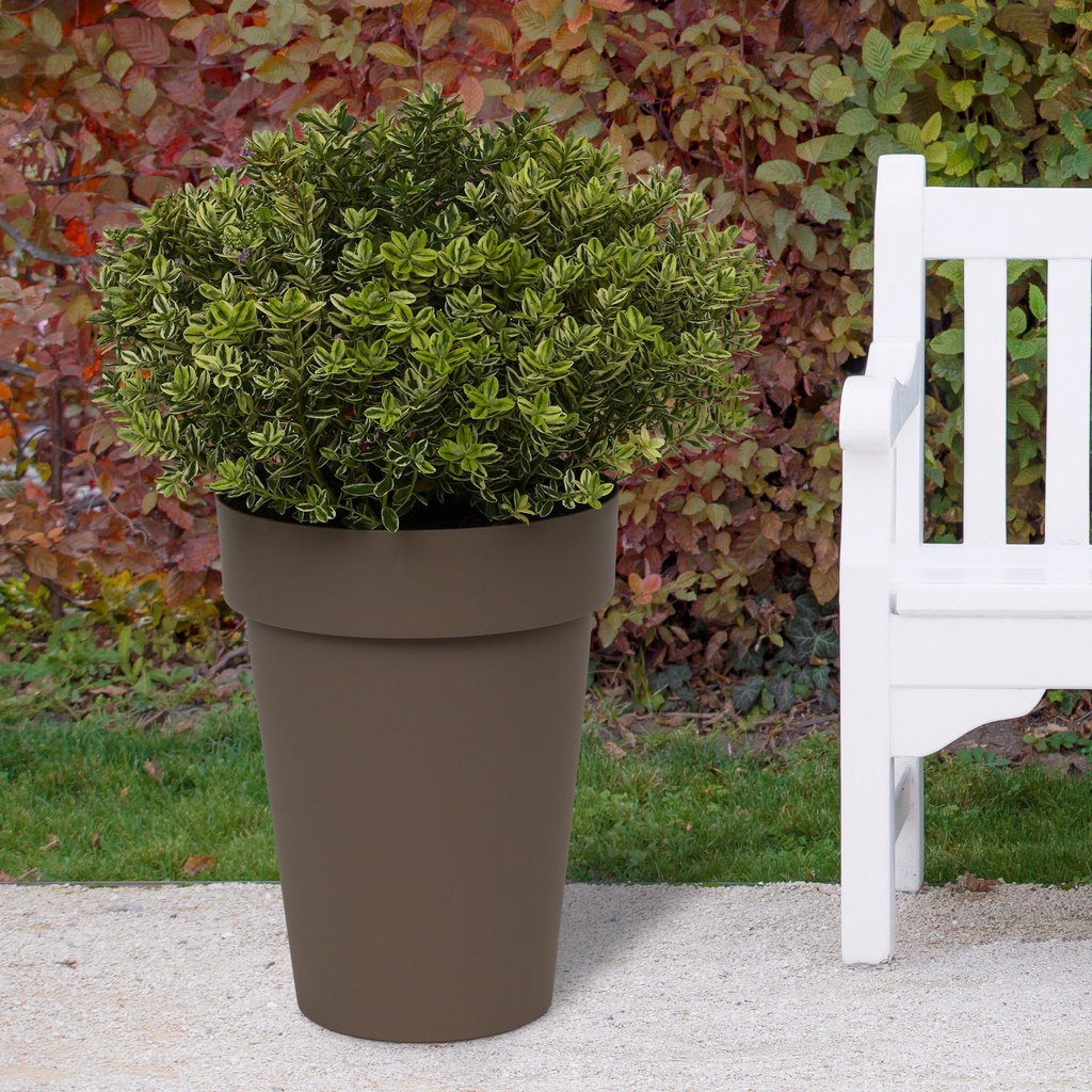 Happy High - in situ-1.jpg