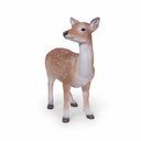 11154157 - doe standing -4-1 1-1.jpg