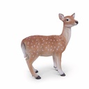 11154157 - doe standing -3-1 1-1.jpg