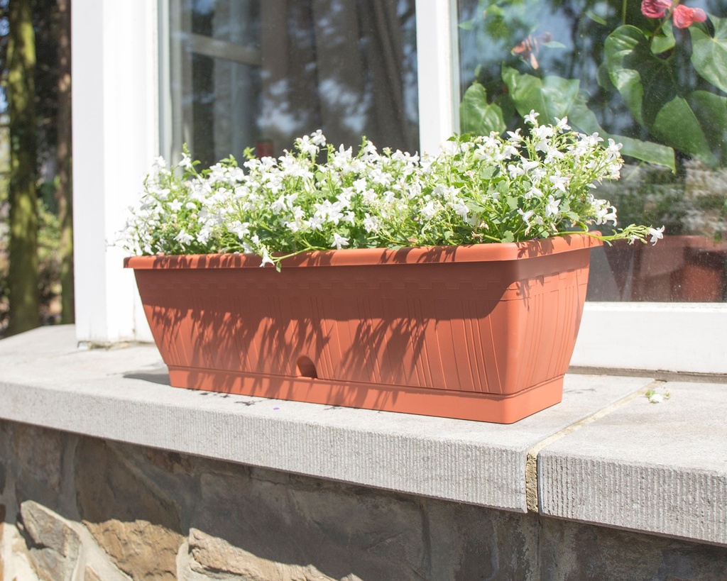 Terraflor Terra in situ 2-1.jpg