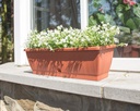 Terraflor Terra in situ 2-1.jpg