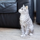 POLYRESINE CHAT ASSIS