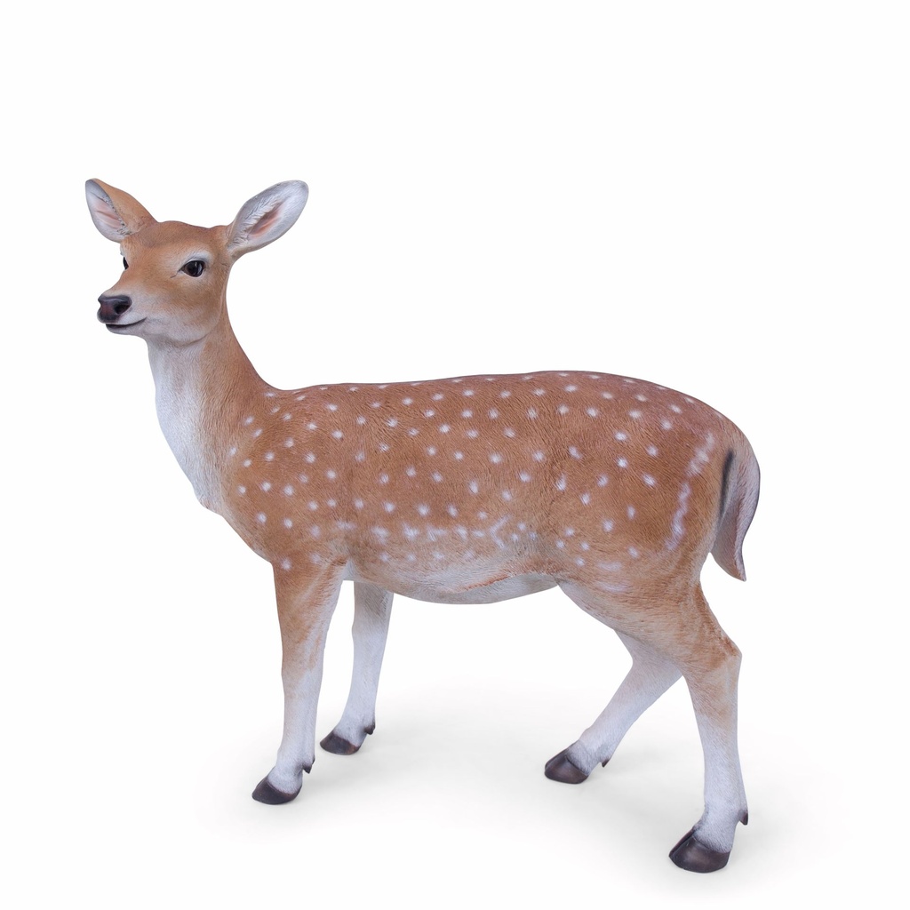 11154158 - doe standing xl -2-1 1-1.jpg