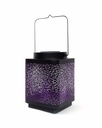 70703189 - GID - Solar - Attract Purple h15 -2 -view1 copie-1.jpg