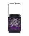 70703189 - GID - Solar - Attract Purple h15 -4 -view2 copie-1.jpg