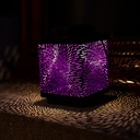 70703189 - GID - Solar - Attract Purple h15 -1 -situ1-1.jpg