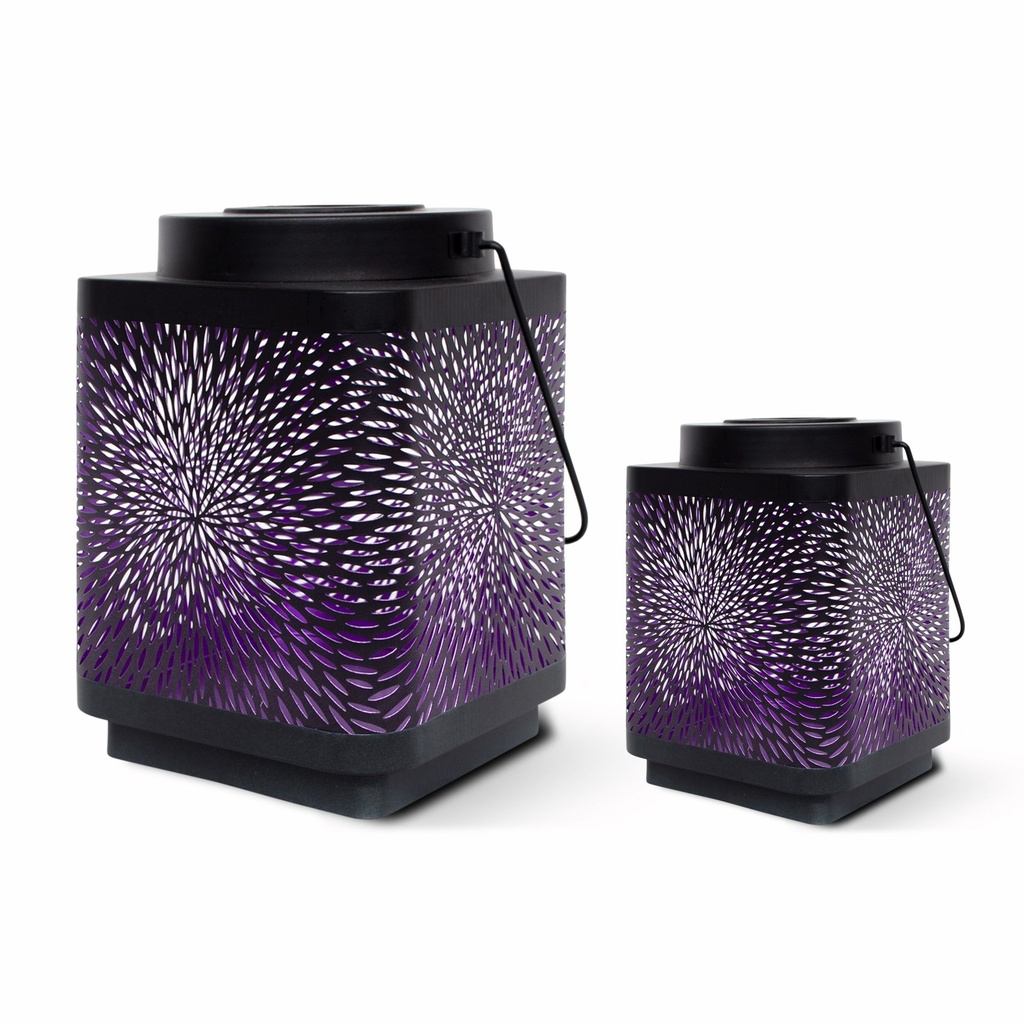 solar attract duo - purple 2-1.jpg