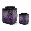 solar attract duo - purple 2-1.jpg