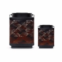 solar attract duo - orange 1-1.jpg