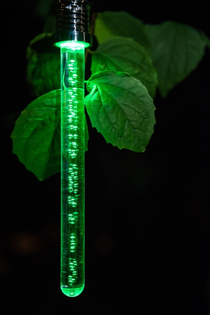 70705428 - Garden Id - Solar Crystal Bubble Light - in situ 2.jpg