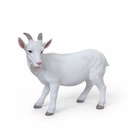 11154161 - goat xl -3-1 1-1.jpg