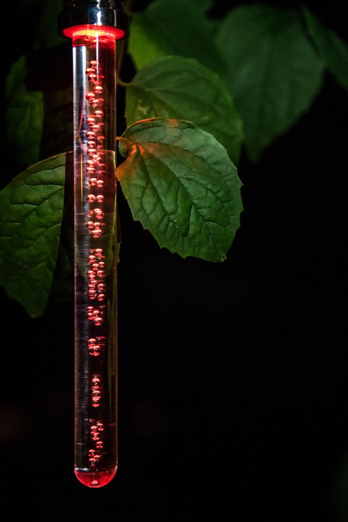 70705428 - Garden Id - Solar Crystal Bubble Light - in situ 3.jpg
