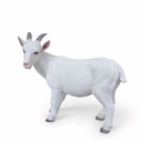 11154161 - goat xl -2-1 1-1.jpg