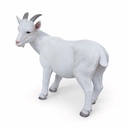 11154161 - goat xl -5-1 1-1.jpg