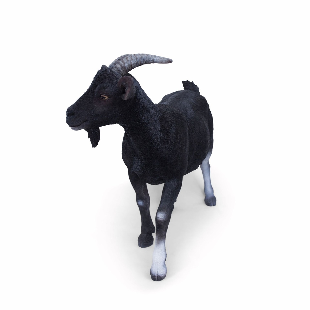 11154162 - billy goat xl -3-1.jpg