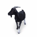 11154162 - billy goat xl -3-1.jpg
