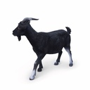 11154162 - billy goat xl -4-1.jpg