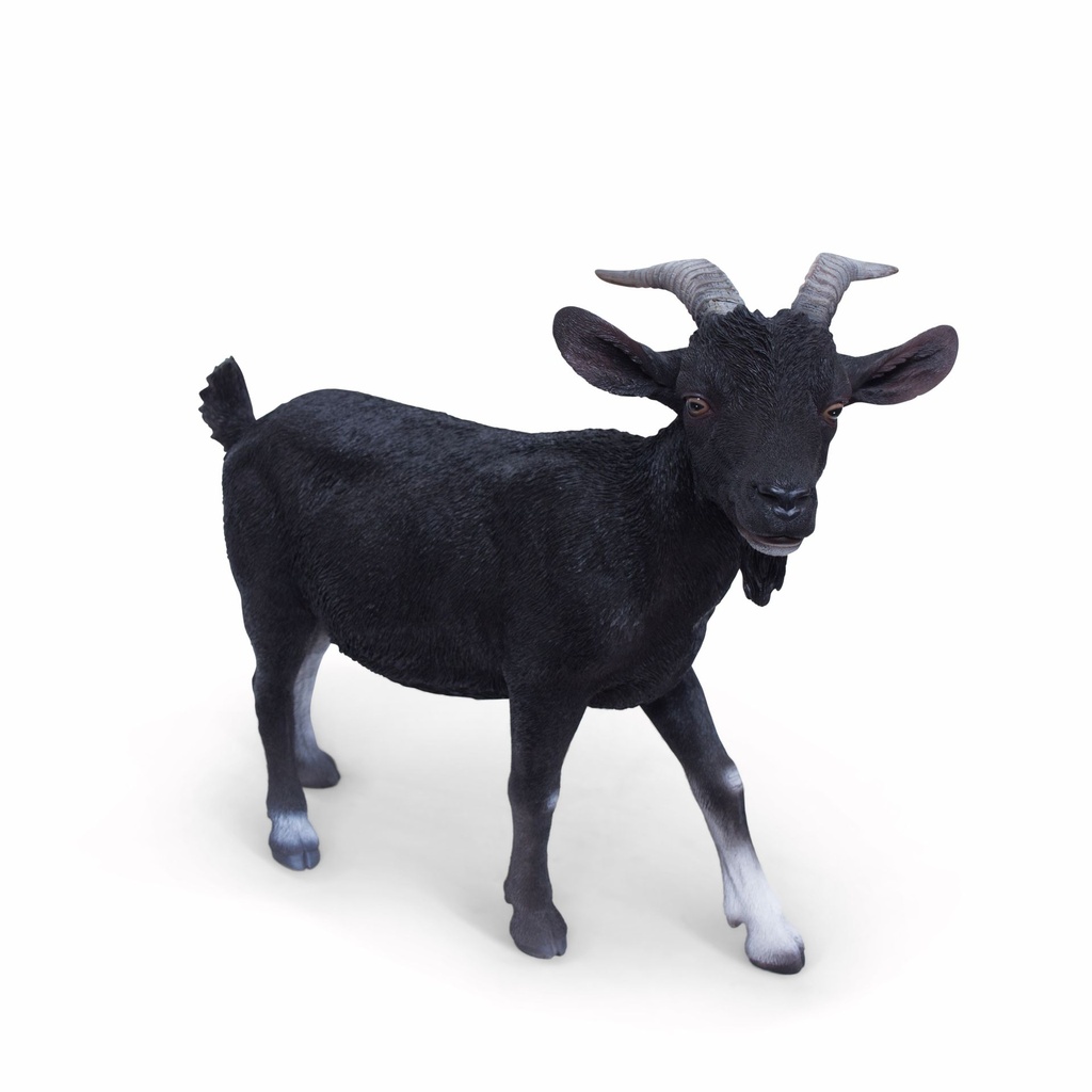 11154162 - billy goat xl -2-1.jpg