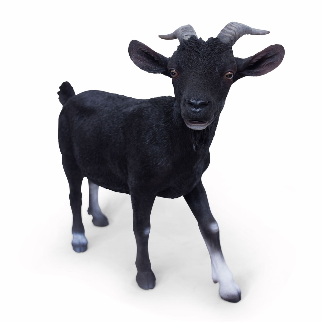 11154162 - billy goat xl -6-1.jpg
