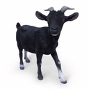 11154162 - billy goat xl -6-1.jpg