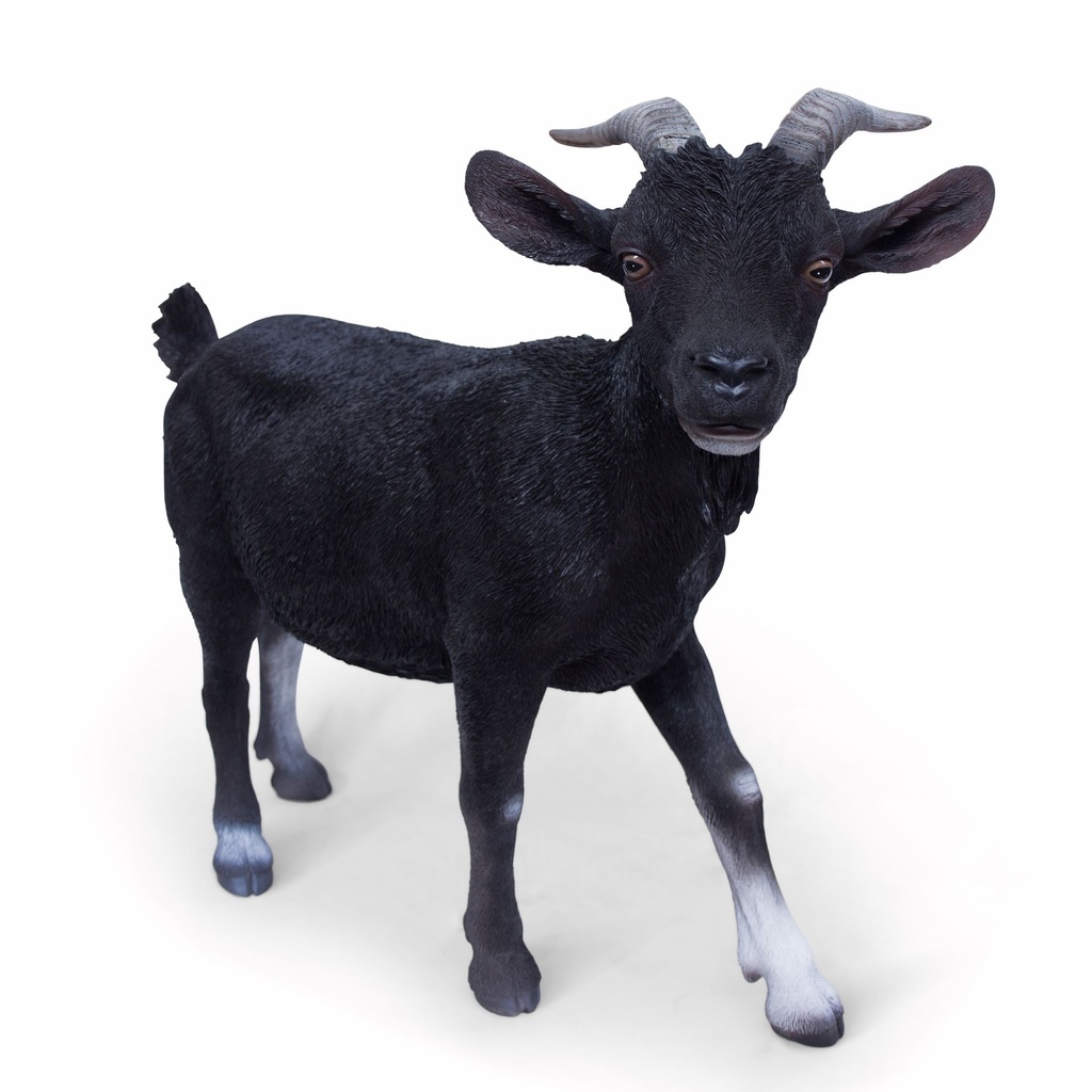 11154162 - billy goat xl -5-1.jpg