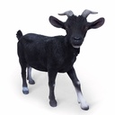 11154162 - billy goat xl -5-1.jpg