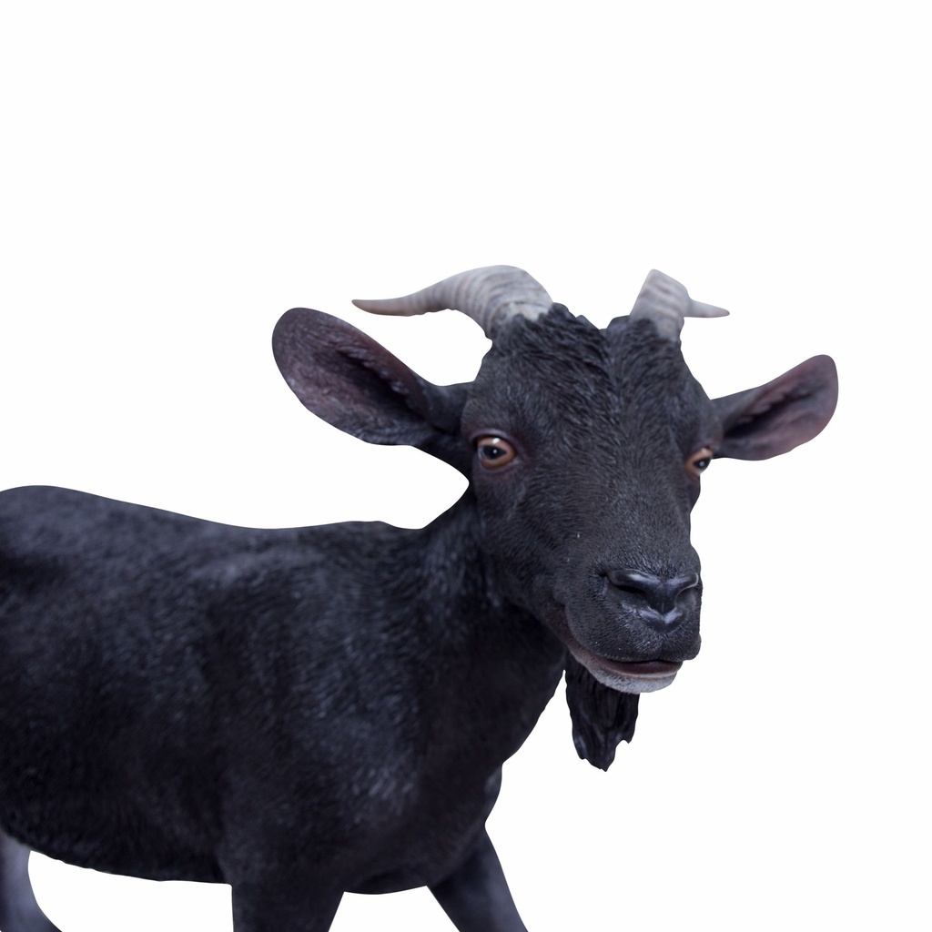 11154162 - billy goat xl -7-1.jpg