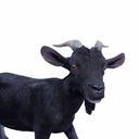 11154162 - billy goat xl -7-1.jpg