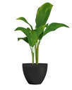 02042069 - GID GC - Impact 30 - black-anthracite-02.jpg