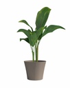 02041007 - GID GC - sense 30 - taupe -03-1.jpg