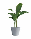 02041029 - GID GC - sense 30 - blue-grey -03-1.jpg
