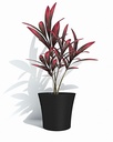 Sense Round 30 - Anthracite - with plant-1.jpg