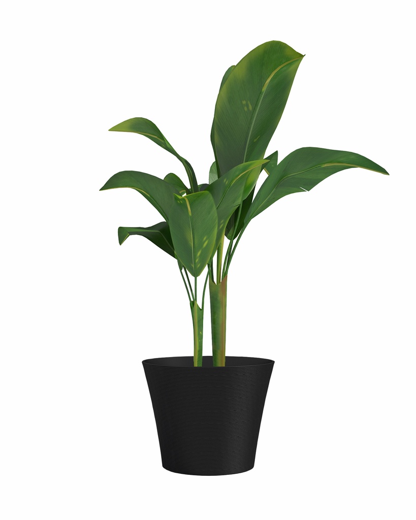 02041069 - GID GC - sense 30 - black-anthracite -03-1.jpg