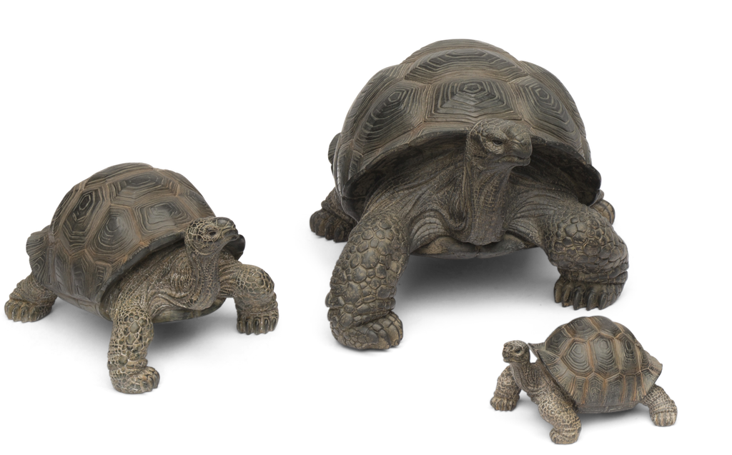 Tortues 11154028+11154023+11153008.png